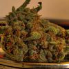 Behind the Green Bong: Will Medical Marijuana Ever Come to NY?